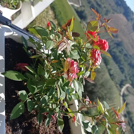 Acquarello Casa di campagna