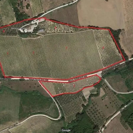 Acquarello 乡村民宿 拉佩多纳